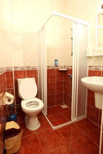 a bathroom with a toilet and a shower and a sink at Dalyan Pension in Dalyan