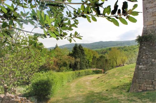 a dirt road on a hill with trees and mountains at Agriturismo Castello Di Belforte in Todi