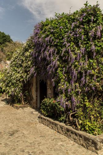 a building with purple flowers on the side of it at Hacienda San Gabriel de las Palmas in Amacuzac