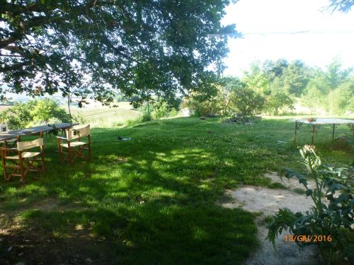a picnic table in the grass under a tree at Casa della Casa in San Severino Marche