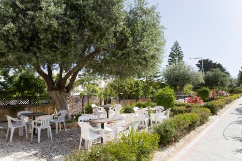 a group of white chairs and tables under a tree at Eliofos Elegant Maisonettes in Polis Chrysochous