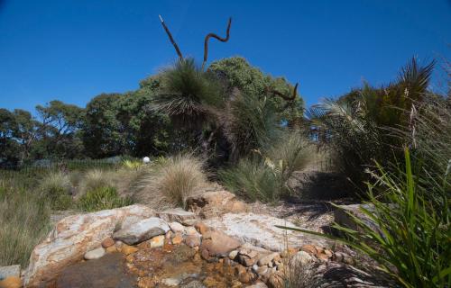 a field with plants and rocks and trees at The Lakes Beachfront Holiday Park in Lakes Entrance