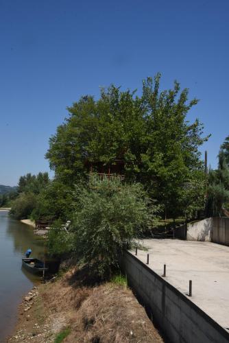 a tree on the side of a river at Holiday Home Kućica Na Drvetu in Banja Koviljača