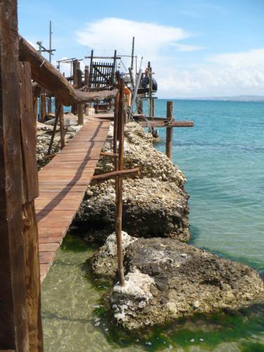 Φυσικό τοπίο κοντά σε αυτό το κατάλυμα σε φάρμα