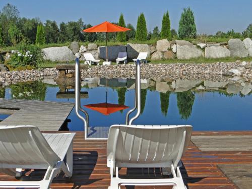 two chairs and an umbrella in front of a pond at Birkholmhof in Bärnau
