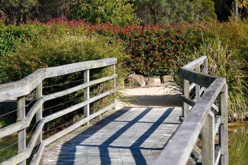 a wooden bridge over a body of water with a cat on it at Potters Apartments in Cessnock