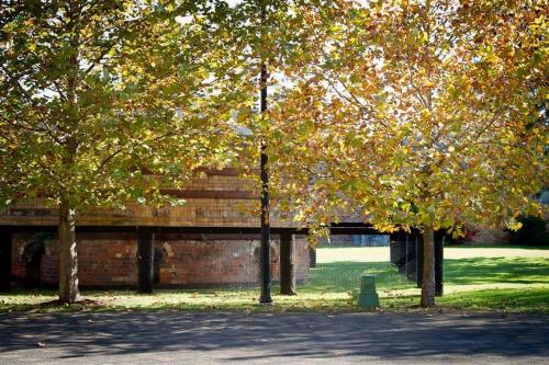 a group of trees in a park with a bridge at Potters Apartments in Cessnock