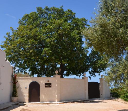 a building with a tree on top of it at Masseria Poli Country House in Conversano