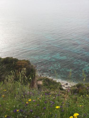 a view of the ocean from a hill with flowers at Hotel Alexander in Tropea
