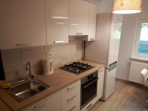 a kitchen with a sink and a stove top oven at Lexy's Apartment in Braşov