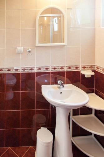 a bathroom with a sink and a mirror at Apartments & Rooms Jelka in Kotor