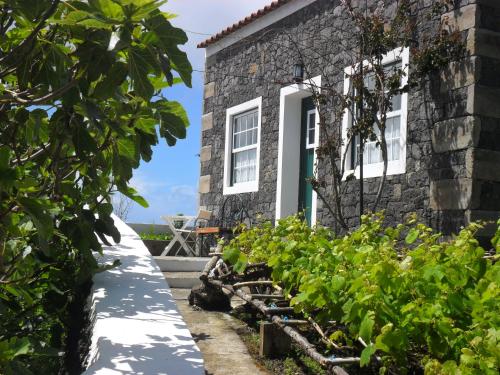 a stone house with a green door and some plants at Adega Ilhéu in Feteira