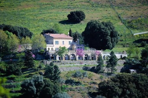 Moltifao