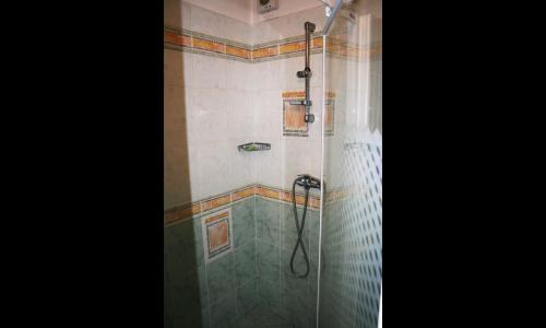 a shower with a glass door in a bathroom at Apartmány Eva in Batňovice
