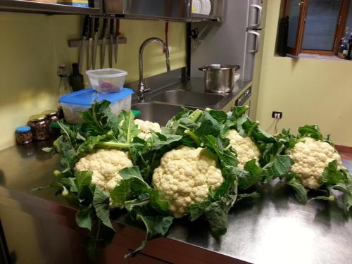 three heads of cauliflower on a kitchen counter at Agriturismo Cascina Lert in Marone