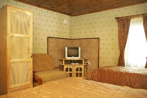 a bedroom with a bed and a tv and a chair at Complex Ristanite in Elena