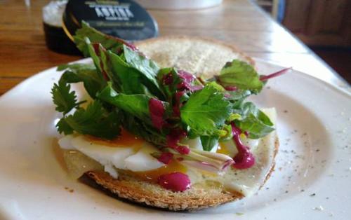 a sandwich on a white plate with a salad on it at Helicon Muses Friendly Mountain B&B Guesthouse in Evangelístria
