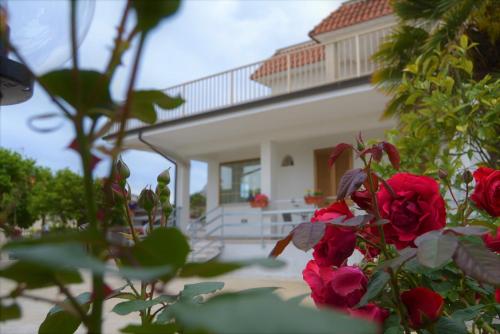 フォルミアにあるGuesthouse Holiday Formia beachの赤いバラの家