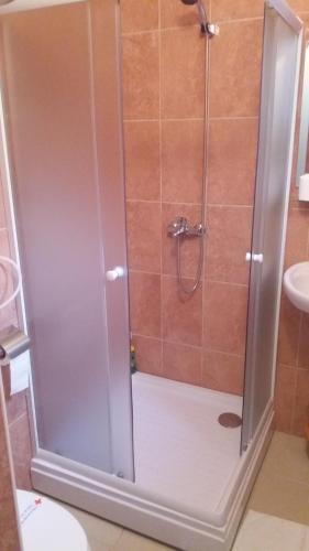 La salle de bains est pourvue d'une douche avec une porte en verre. dans l'établissement Apartments Šofranac, à Podgorica