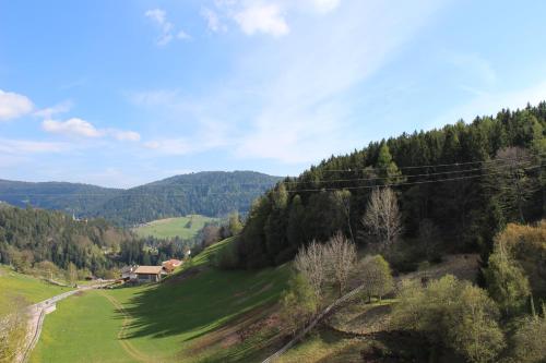 a green hillside with a house and a road at Apartment Hotel Christine in Avelengo