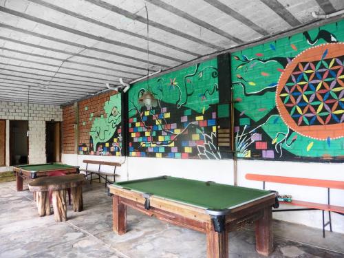 鲁雷纳瓦克Lobo Hostel - Rurrenabaque的一间设有两张乒乓球桌和壁画的房间