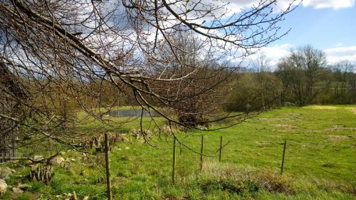 a field of green grass with a fence in it at Elisetorp in Kivik
