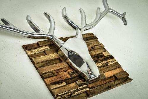a reindeer head on a wooden cutting board at Sonn Alpin - Ferienwohnungen in Grän
