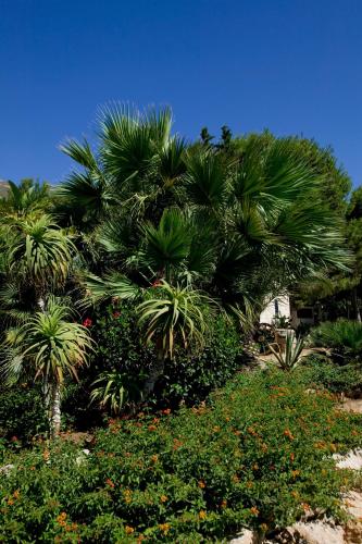 a group of palm trees in a garden with flowers at Miramare Residence in Favignana