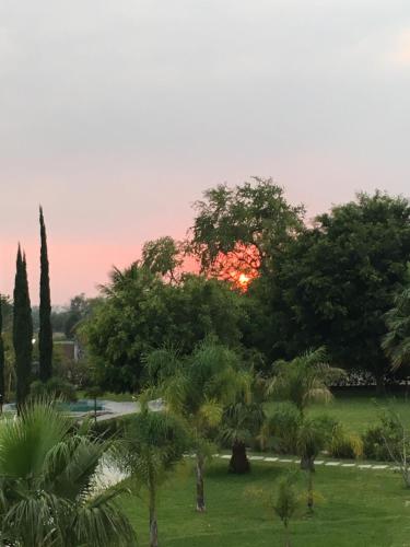 a sunset over a park with palm trees at Quinta Souffle in Xochitepec