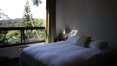 ein Schlafzimmer mit einem Bett und einem großen Fenster in der Unterkunft The Guest Suites at Manana Madera in Boquete