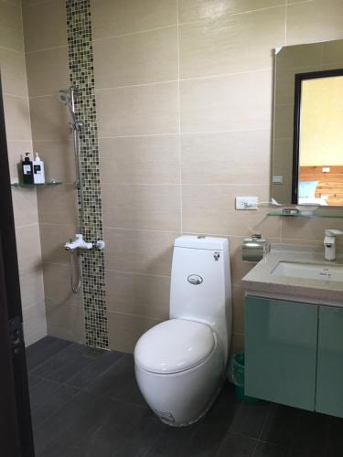 un bagno con wc, lavandino e doccia di 耘禾莊園民宿 台東縣民宿編號1273號 a Guanshan