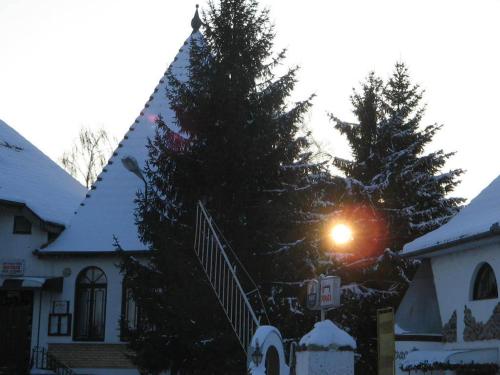 a christmas tree in front of a house with a street light at B&B Villa Pipacs in Feketić