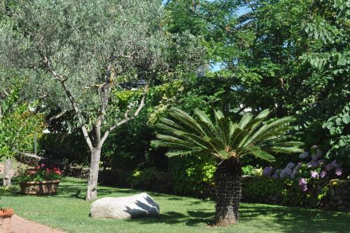 Jardín al aire libre en Hotel Tirrena Bike & Country Hotel