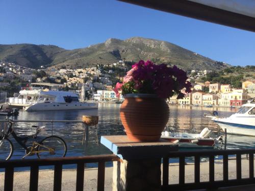a vase of flowers sitting on a ledge next to the water at Nikolitsi Studios in Symi