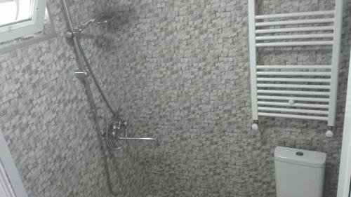 a bathroom with a shower with a toilet and a ladder at Guest House Sabauri in Stepantsminda