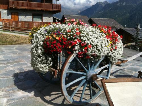a cart full of flowers on top of a mountain at Residence Lo Peyo in Champoluc