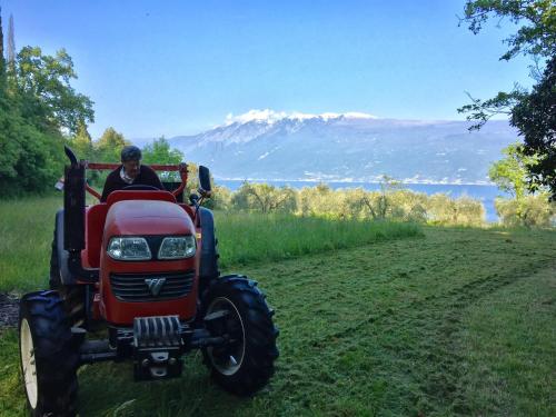 a man driving a red tractor on a field at Agriturismo Cervano in Toscolano Maderno