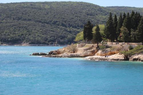 a view of a body of water with trees at Little Paradise - charming apartment in Labin