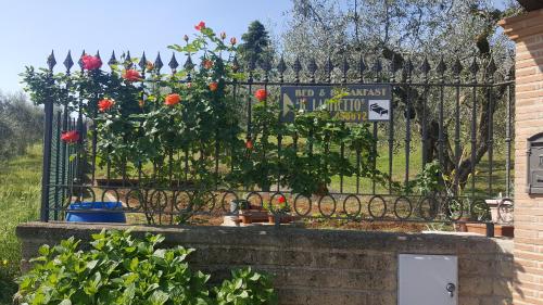 B&B Al Laghetto – Photos 4