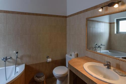 a bathroom with a sink and a toilet and a mirror at Makronas Apartments in Karistos