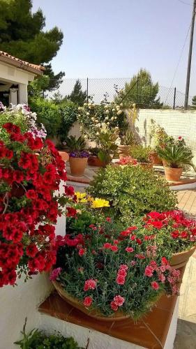 a bunch of pots of flowers in a garden at B&B Le Vele in Maruggio