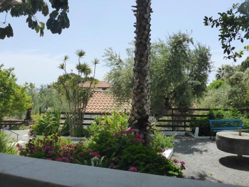 a palm tree in a garden with flowers at Studios Resbithas in Gythio