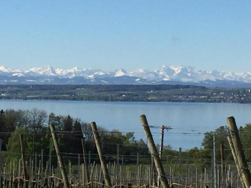 Blick auf einen See mit Bergen im Hintergrund in der Unterkunft Feriendomizil Hehl in Stetten
