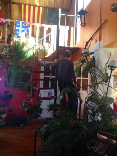 a man climbing a spiral staircase in a room with plants at Hotel Churup in Huaraz