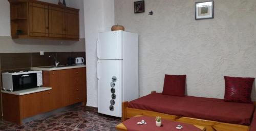 Kuchyň nebo kuchyňský kout v ubytování Villa Xenia