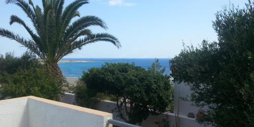 a view of a palm tree and the ocean at Villa Xenia in Makry Gialos