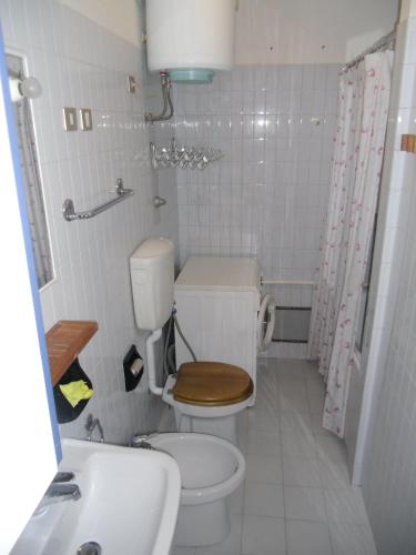 a small bathroom with a toilet and a sink at Garda Blu Apartment in Riva del Garda