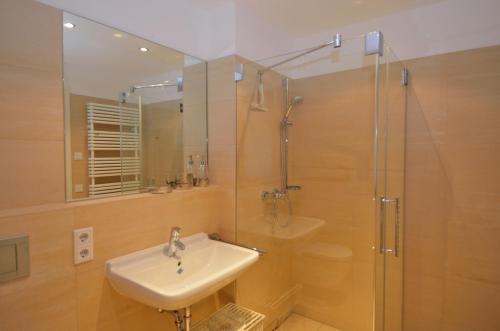 een badkamer met een wastafel en een douche bij Dresden City Exklusiv in Dresden