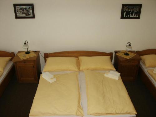 two beds in a room with two lamps on them at Hotel Krakonoš in Trutnov
