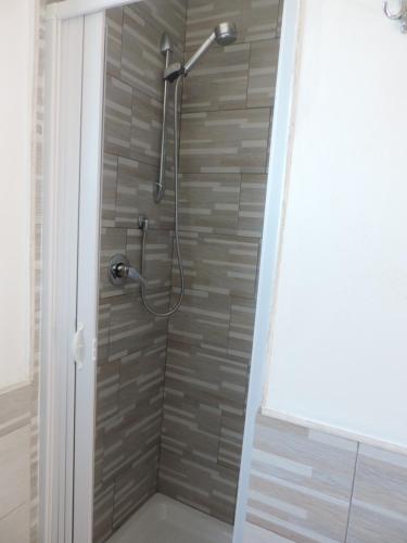 a shower with a shower head in a bathroom at Appartamento Cavo in Cavo